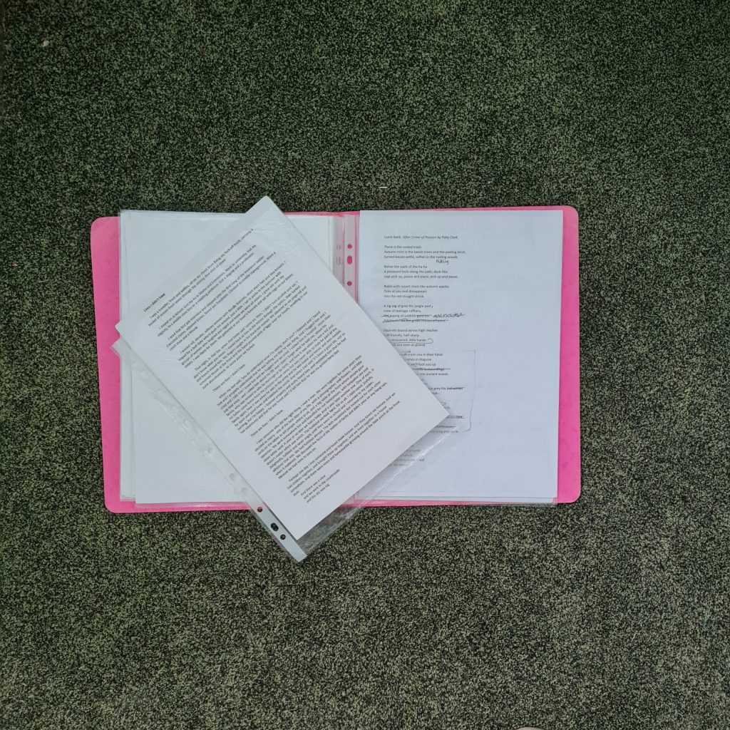 a pink cardboard folder, open to pages of typed writing, lying on a green carpet